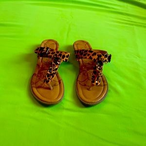 Blowfish sandals.  Leopard print.